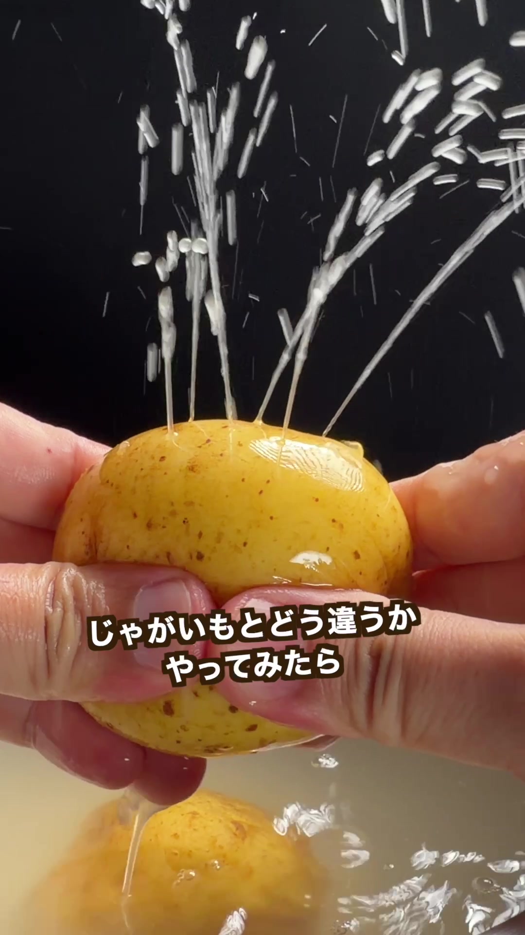 @ポテトのタカタク🥔