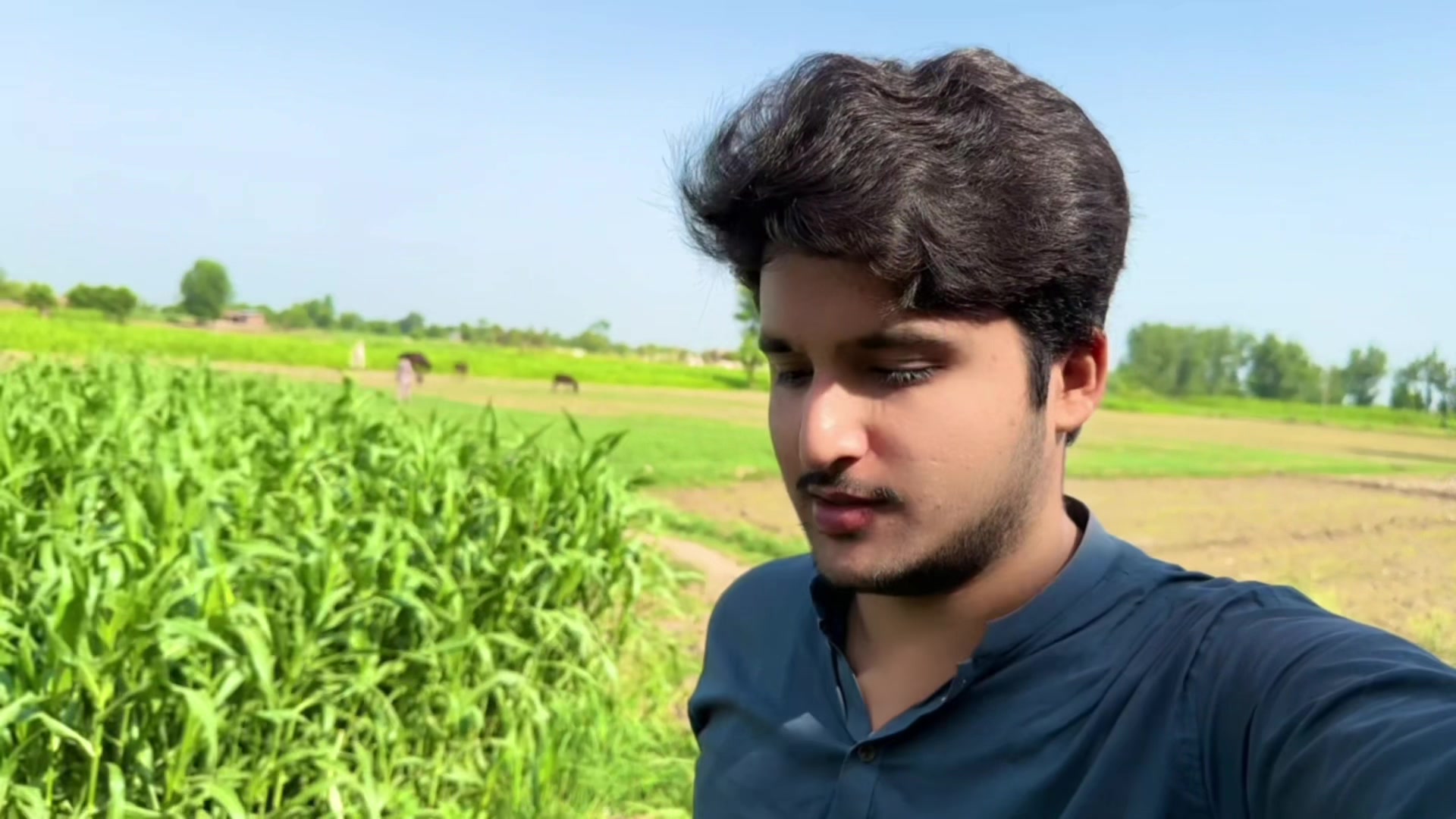 @Mjunaid
