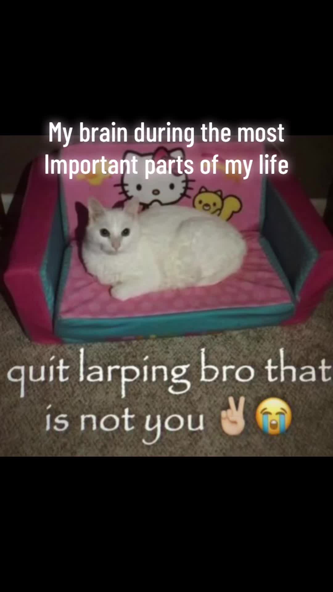 @ellie