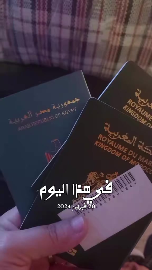 @بشرى أمل497