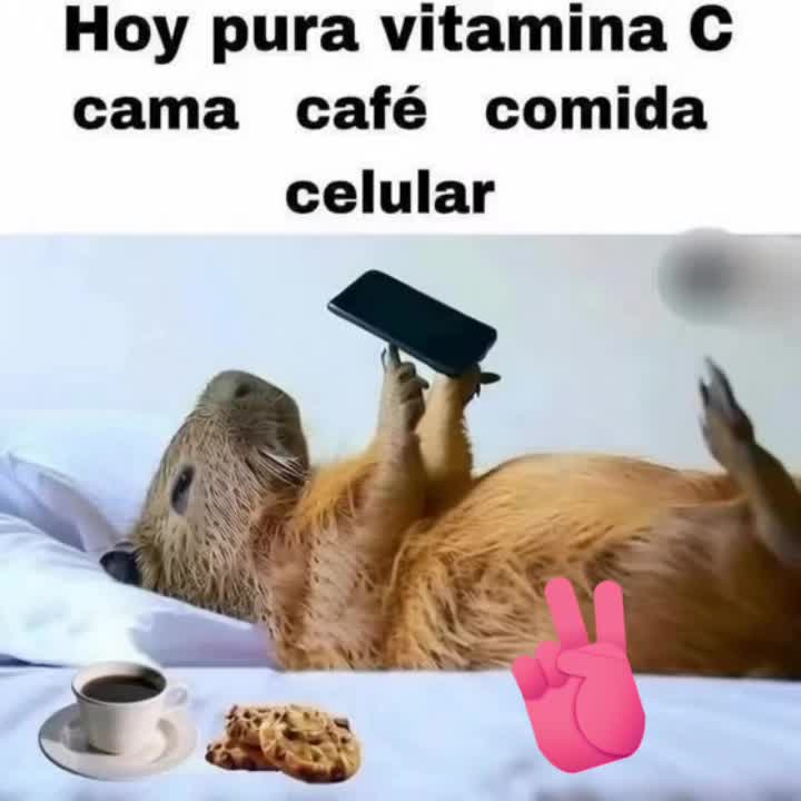 @pollocamaron