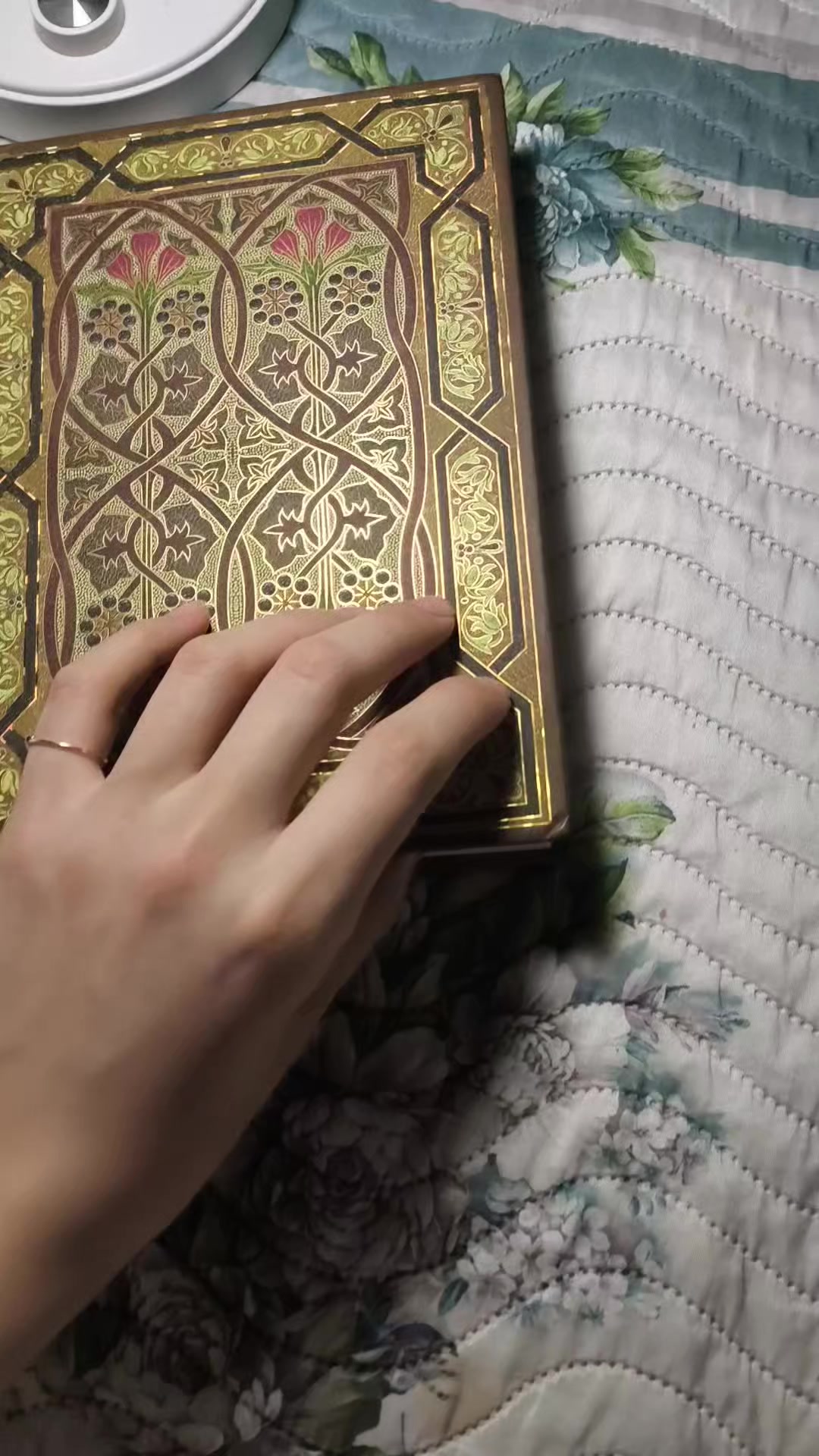 @꧁★فُـ,ـنـِِـِـوُنـِِـِـ★꧂