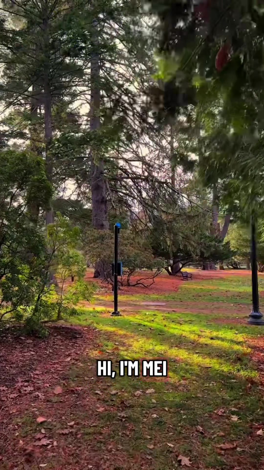 @Vassar College