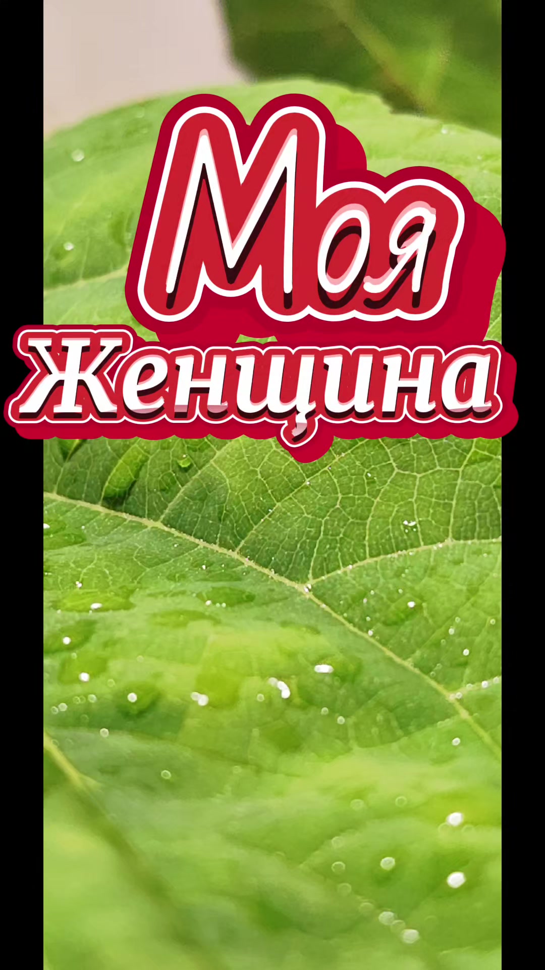 @Сергей