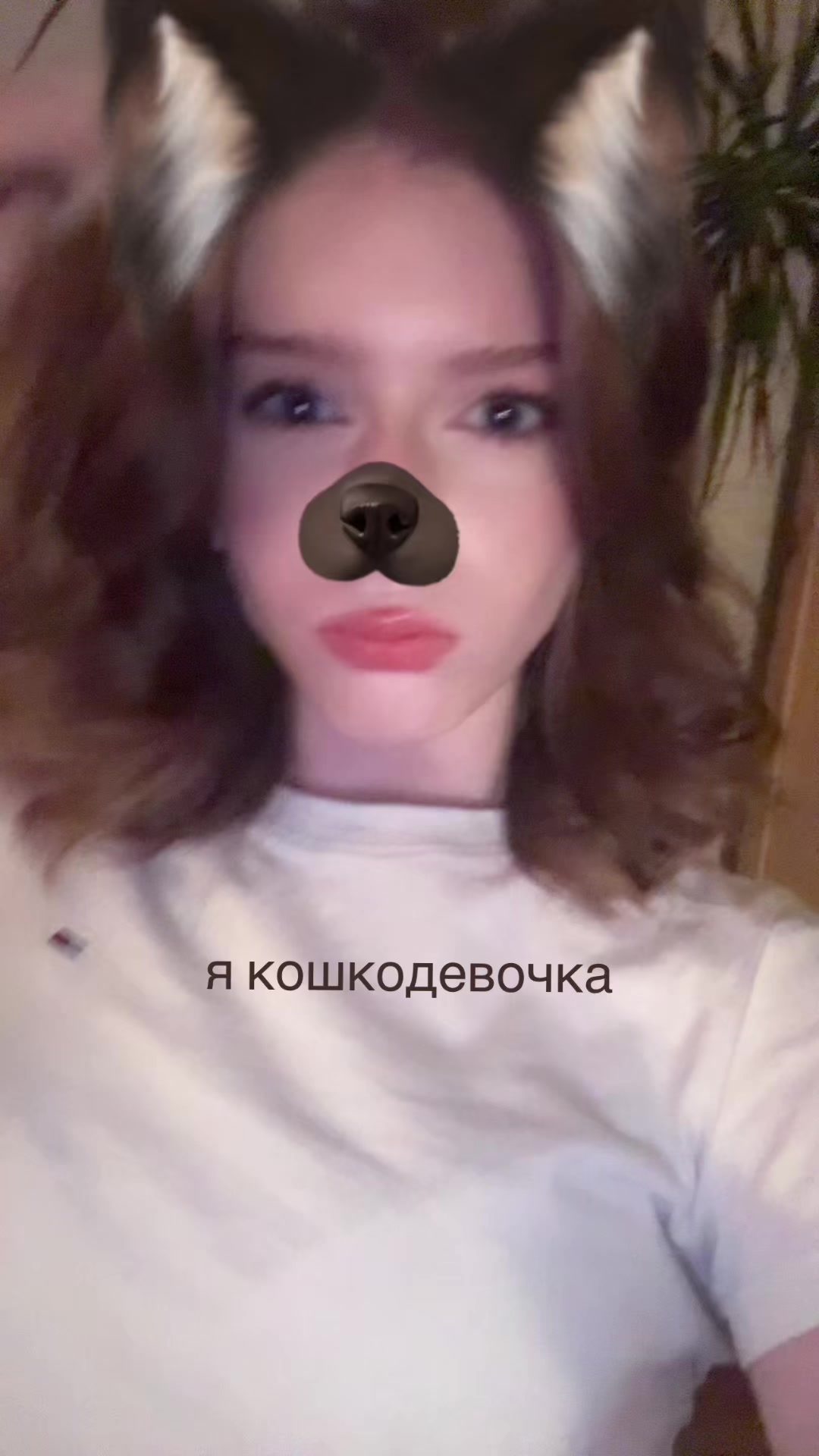 @ponyashkkk