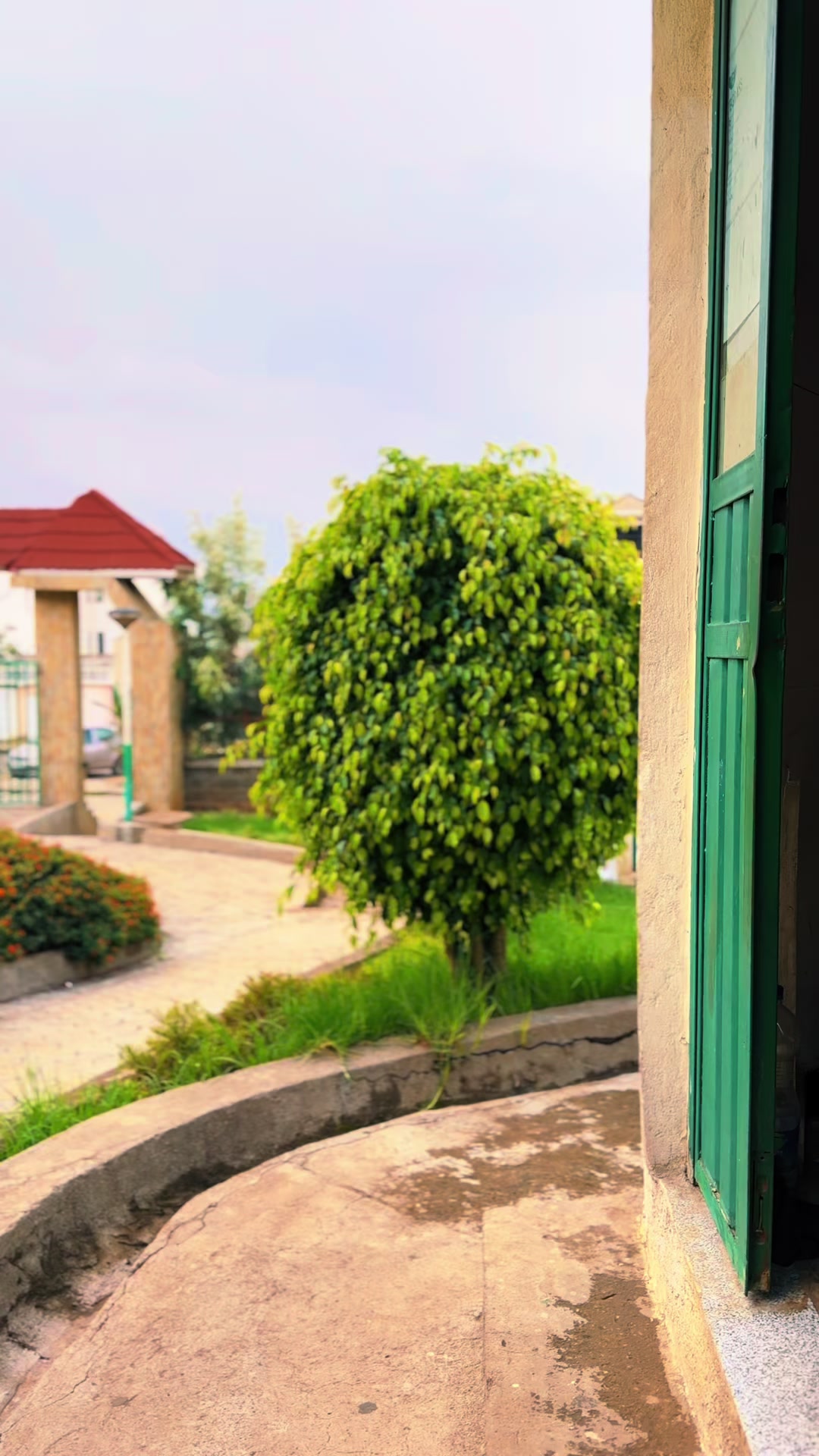 @Tonkosu/ቶንኮሱ