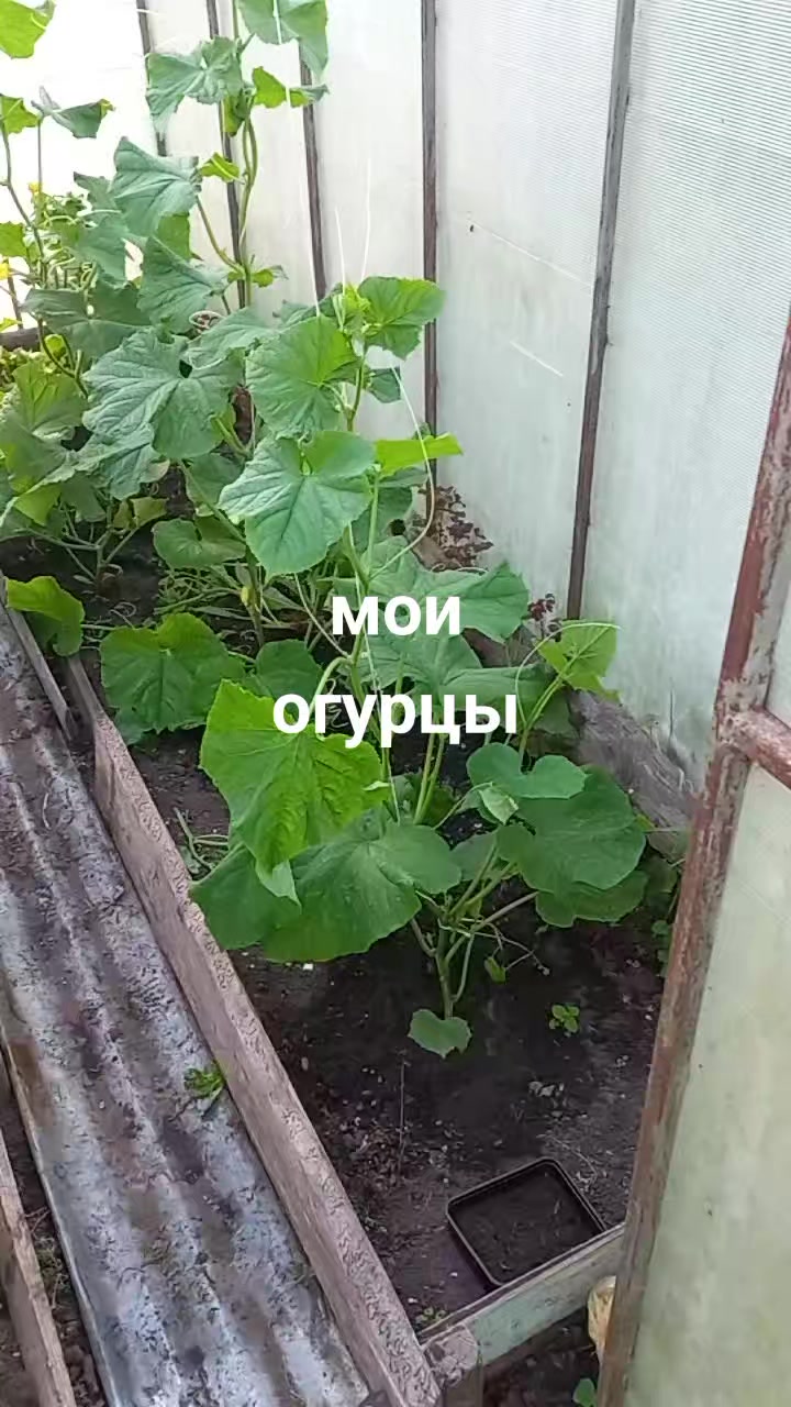 @Сергей