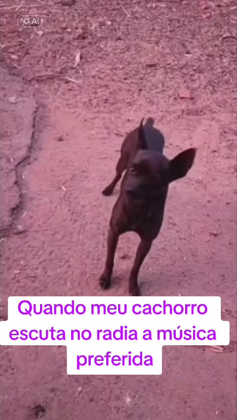 @Alexandre Basilio