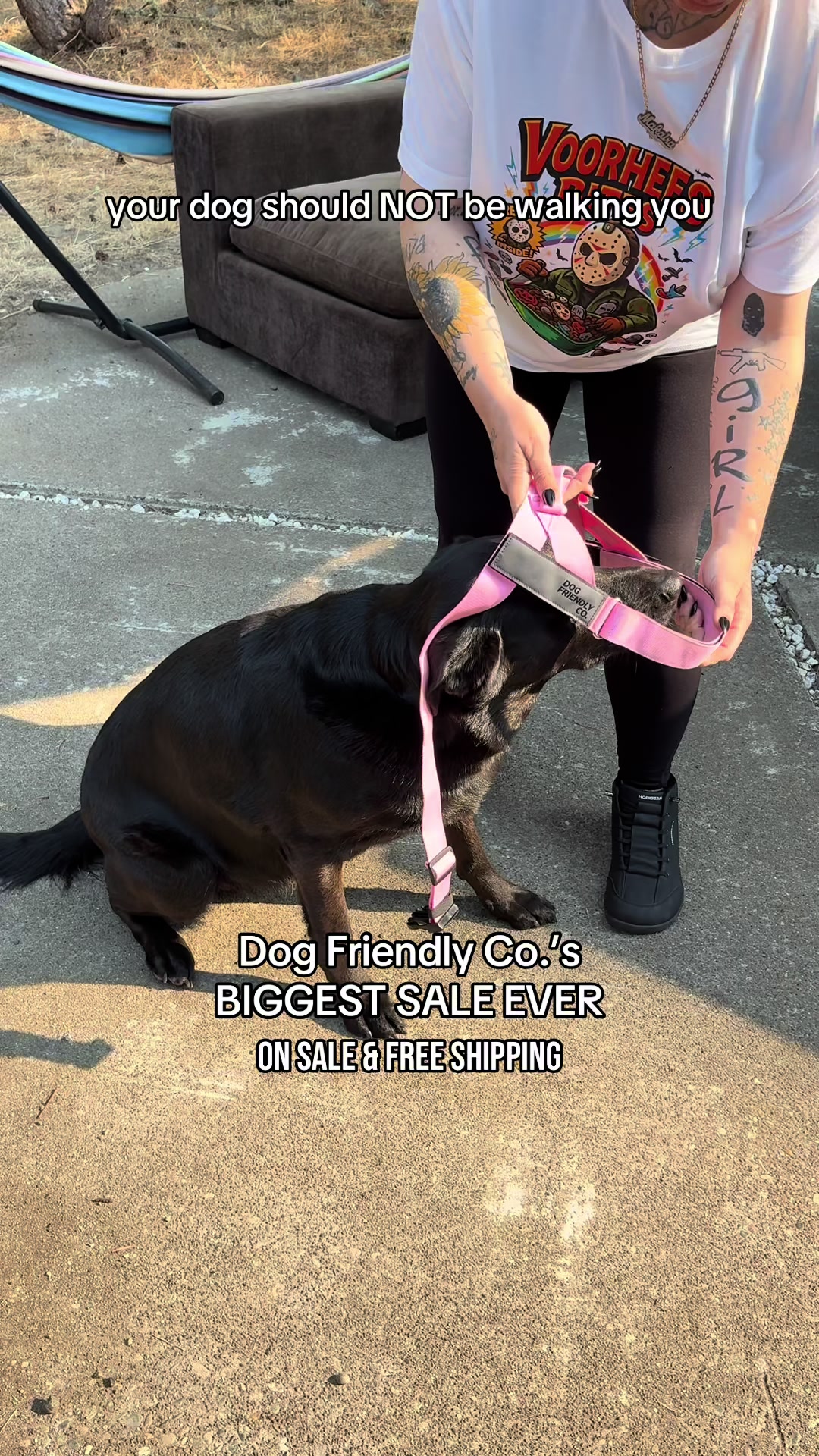 @kai•thedogmother🐾