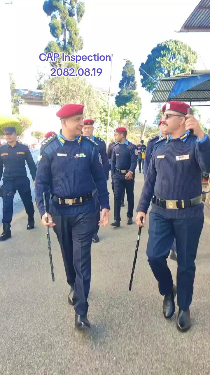 @@DPO ILAM