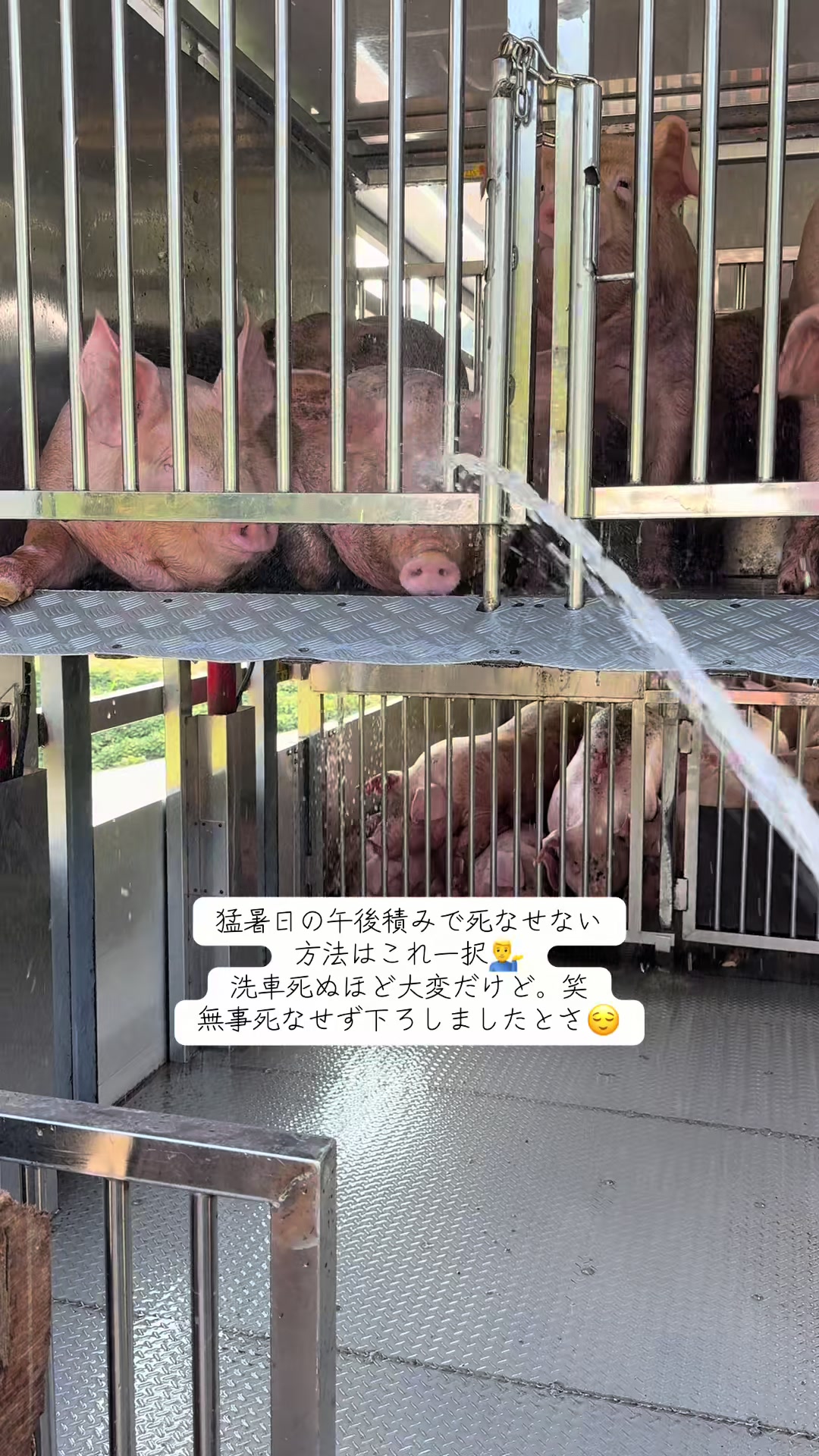 @とおる