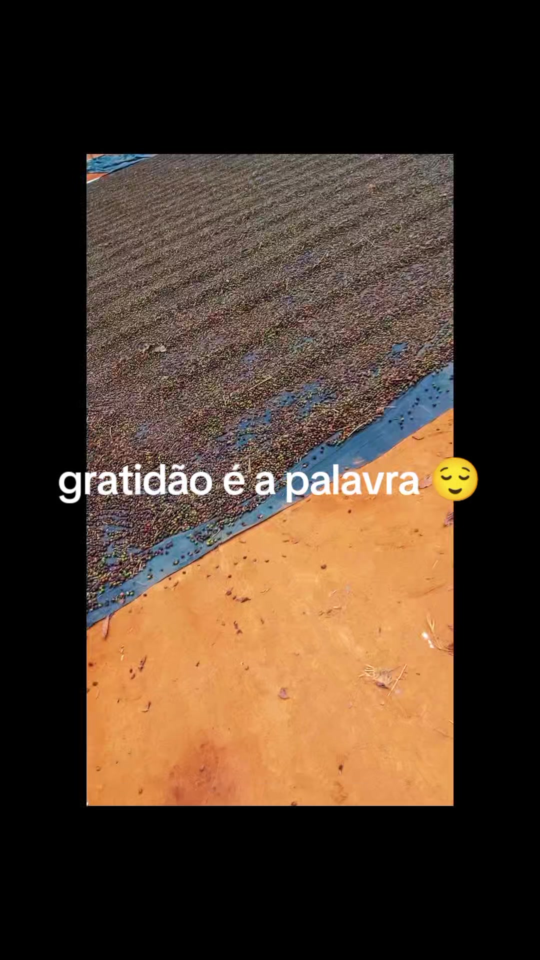 @M&Aacute;RCIA CARVALHO 🙌🏽💫❤️