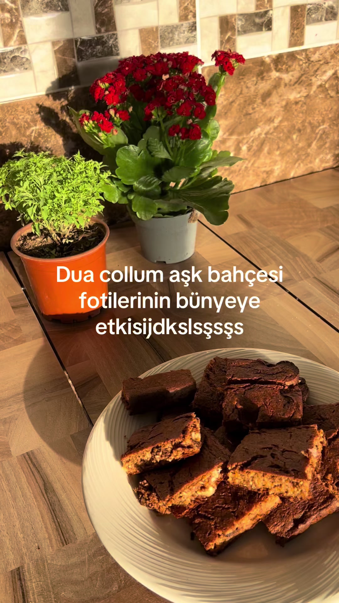 @banulovess✨