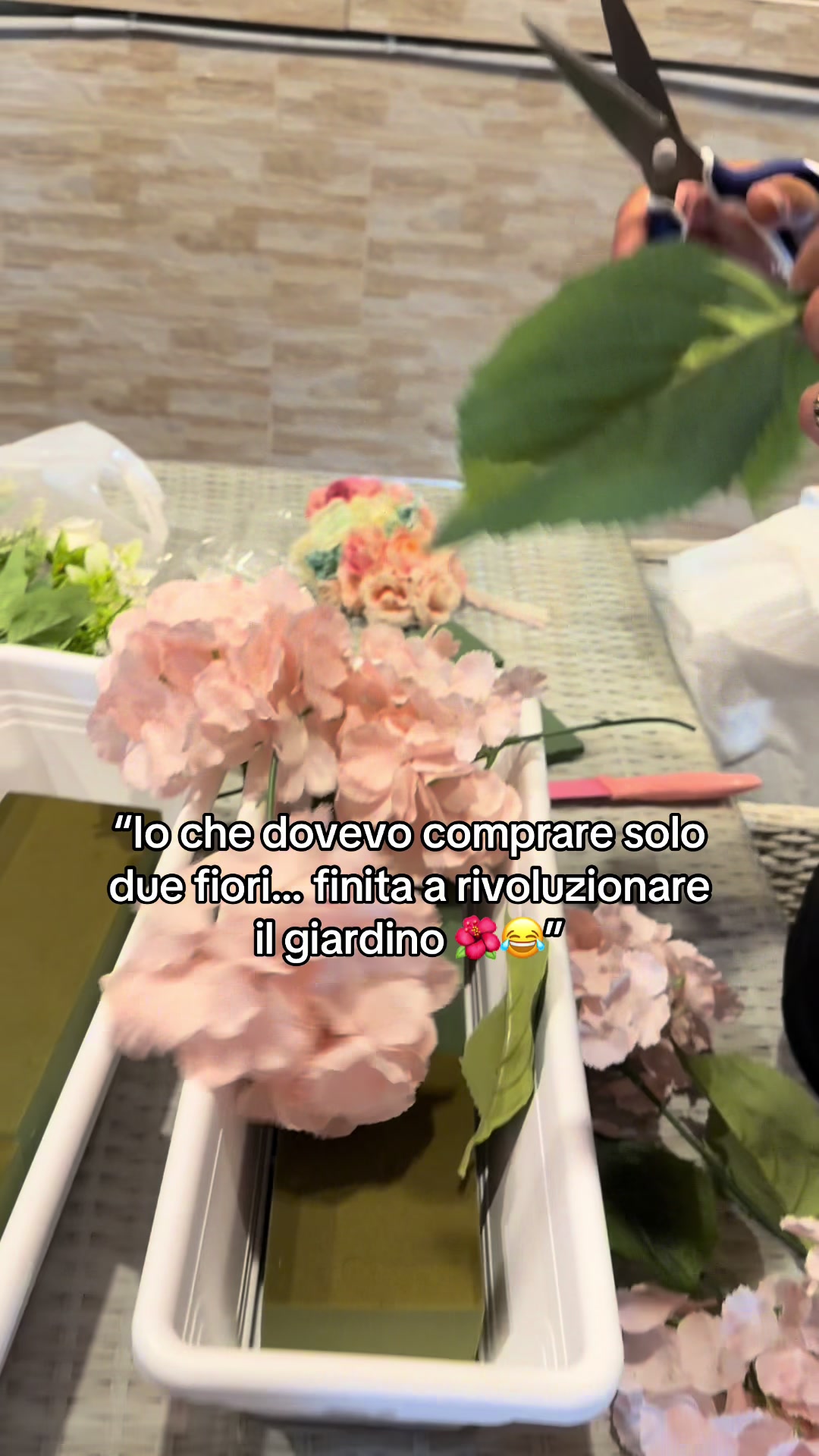 @Loredana lucarelli