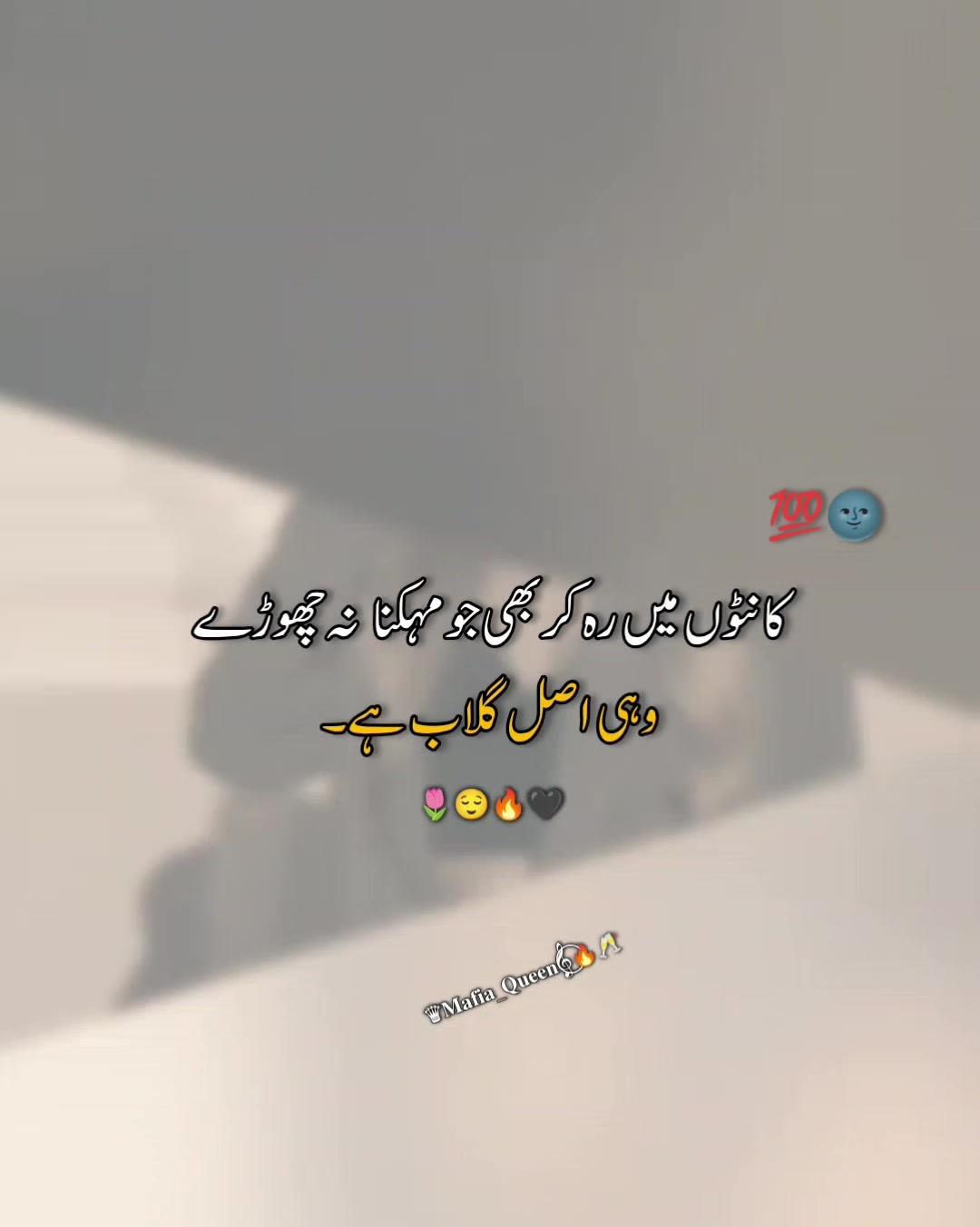 @♛𝐌𝐚𝐟𝐢𝐚_𝐐𝐮𝐞𝐞𝐧𝄞⃝🔥🥂