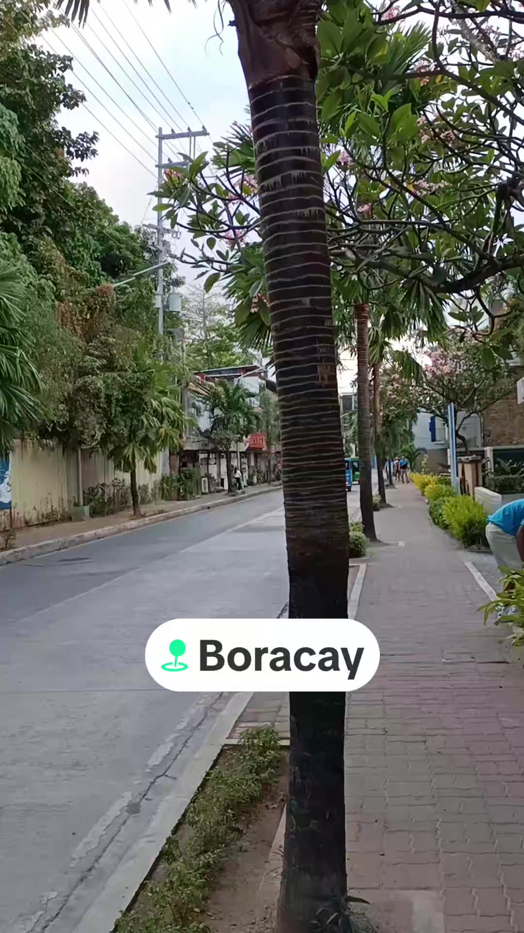 @Domestic Traveller