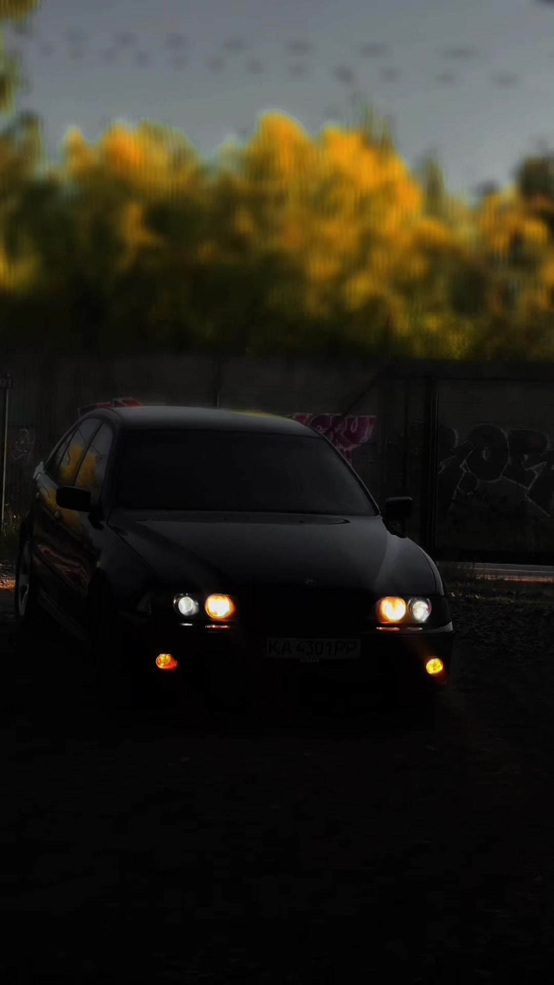 @xenon.77