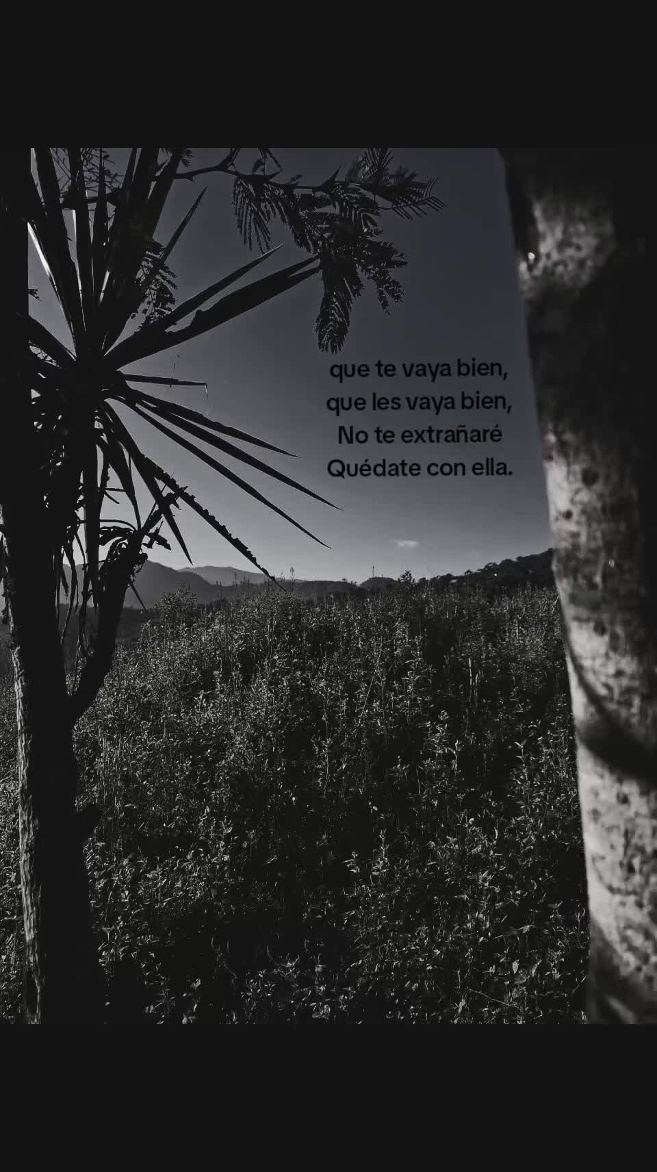 @9544musica la santa grifa★🖤☆