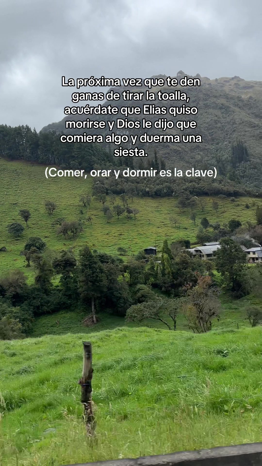 @✨🤎 AleGR🦄