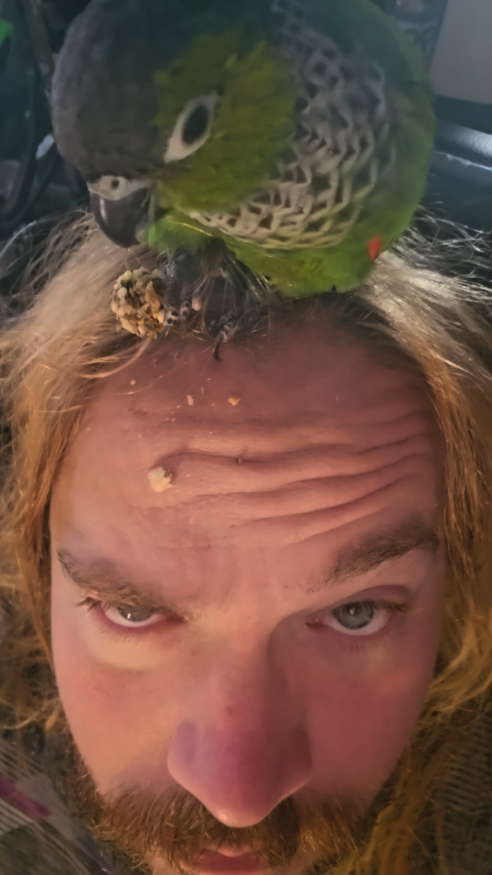 @QbertBird🦜👀