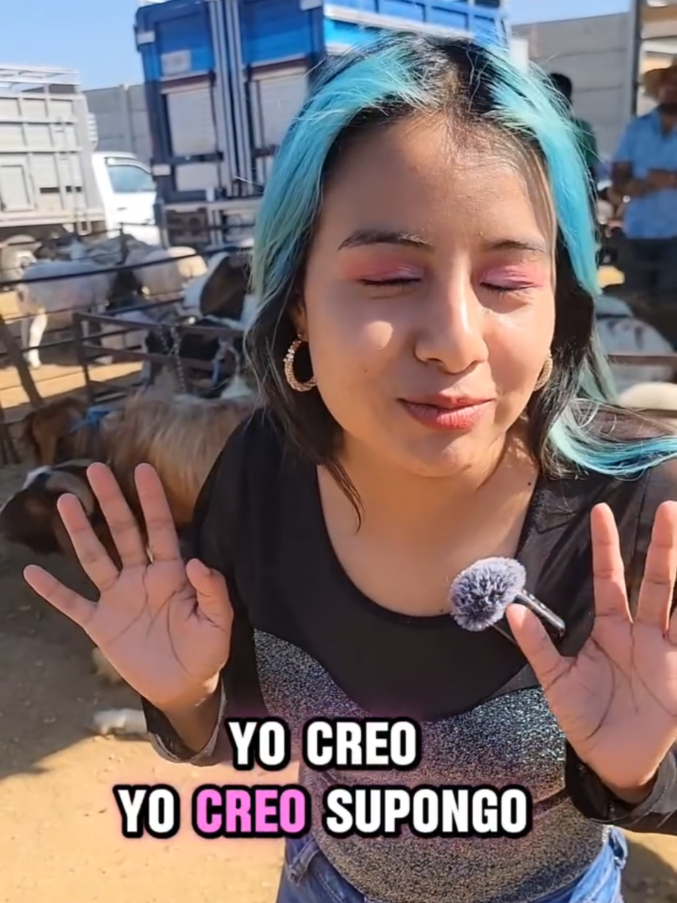 @nikki palestino