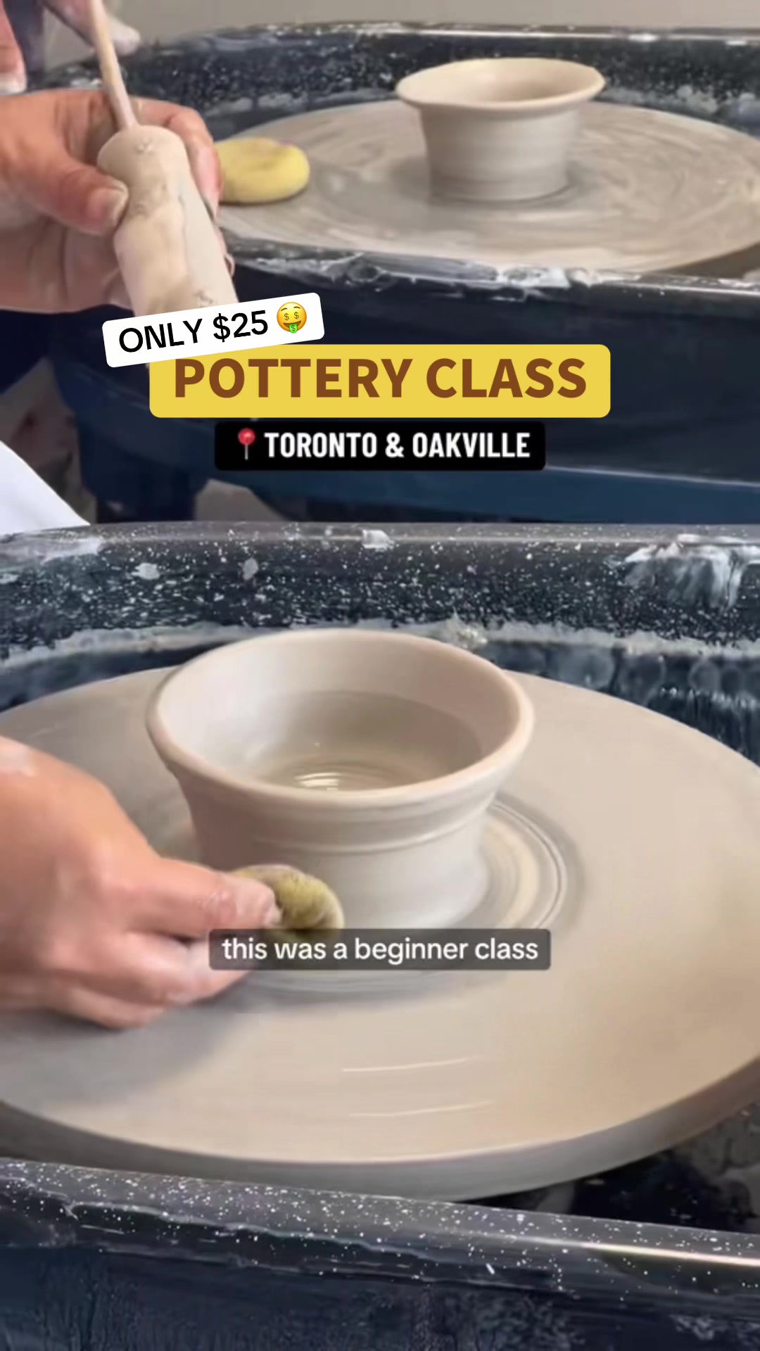@insauga