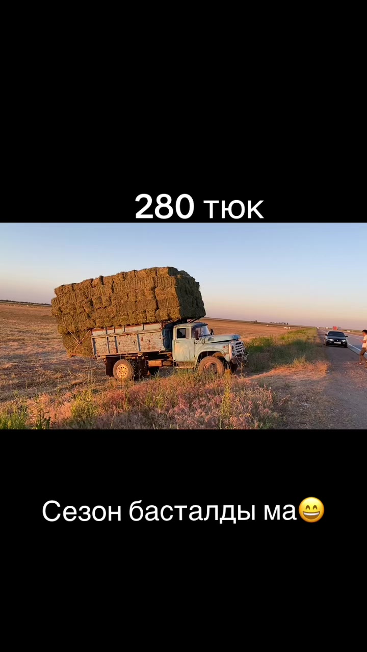 @Райым Мұстафаев 08