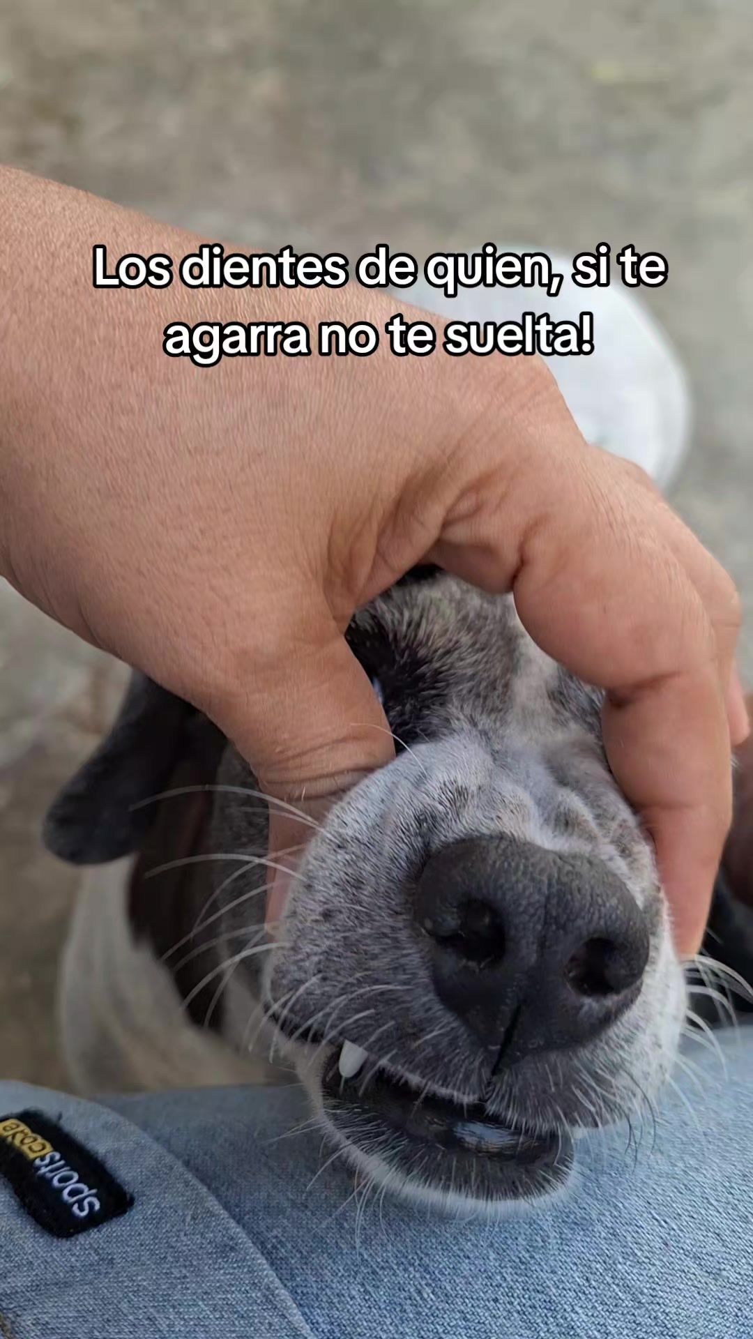 @MANCHAS 0714 OFICIAL
