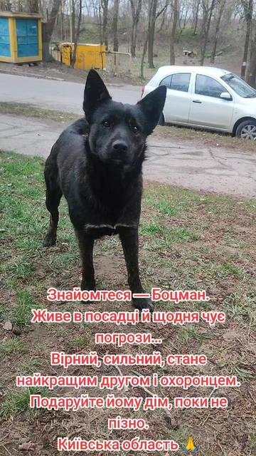 @viktoria)