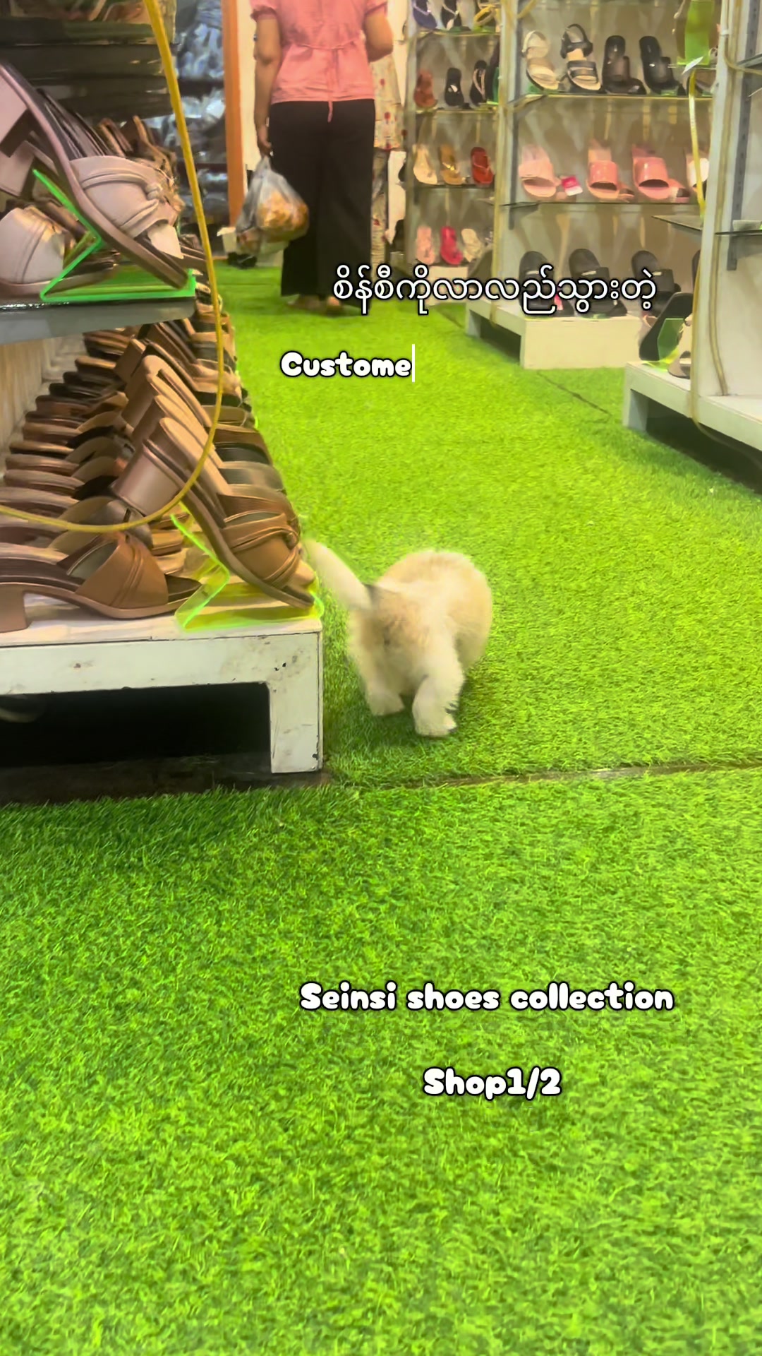 @Seinsi shoes collection