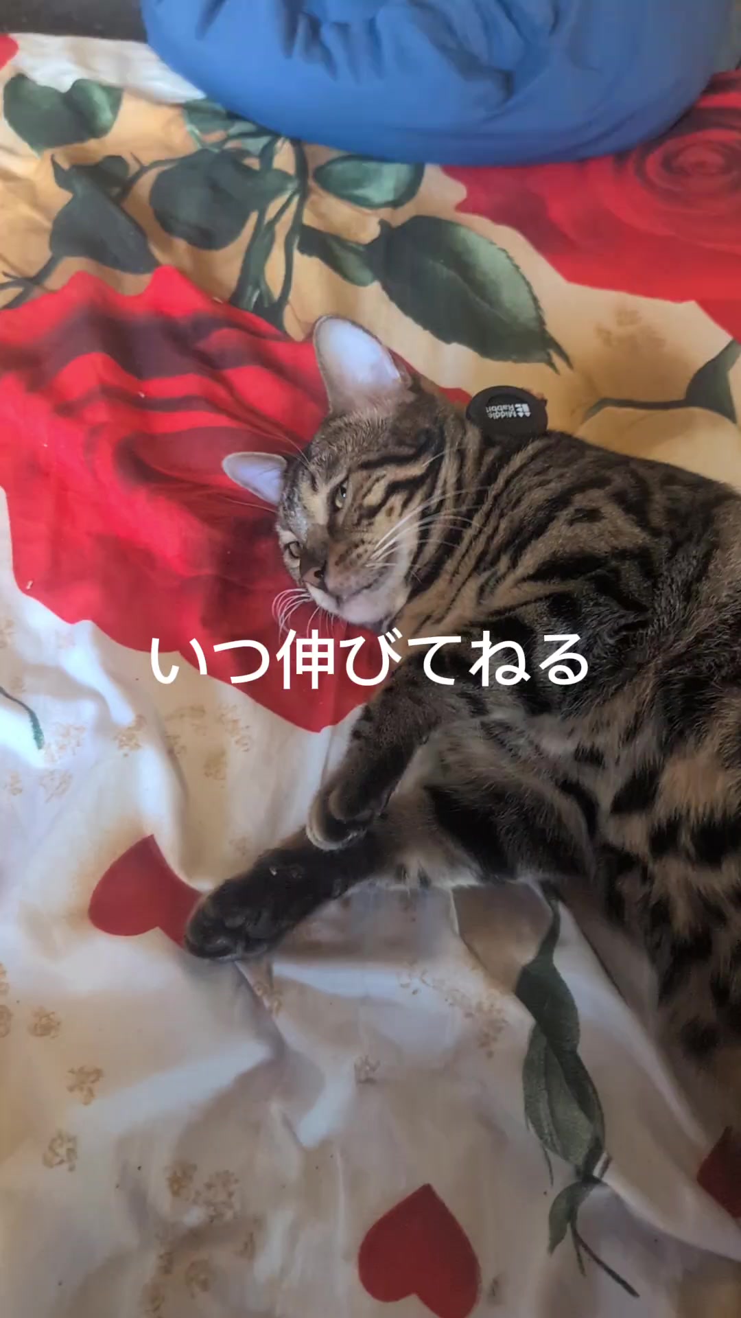 @睡眠プロデュース