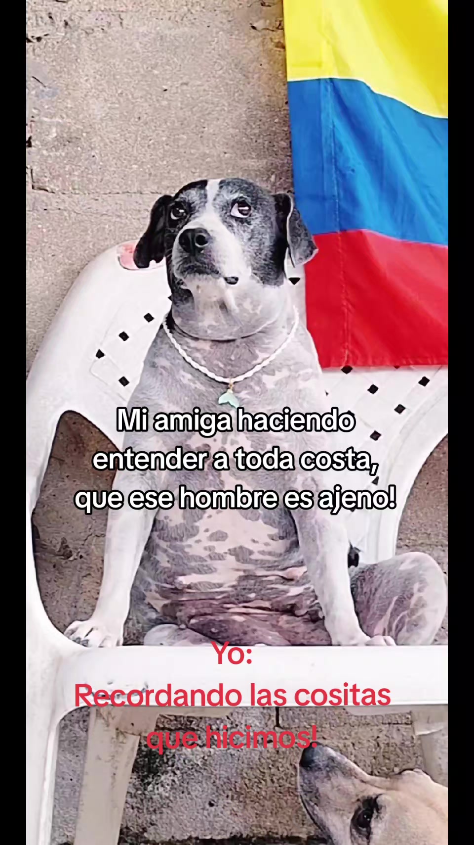 @MANCHAS 0714 OFICIAL