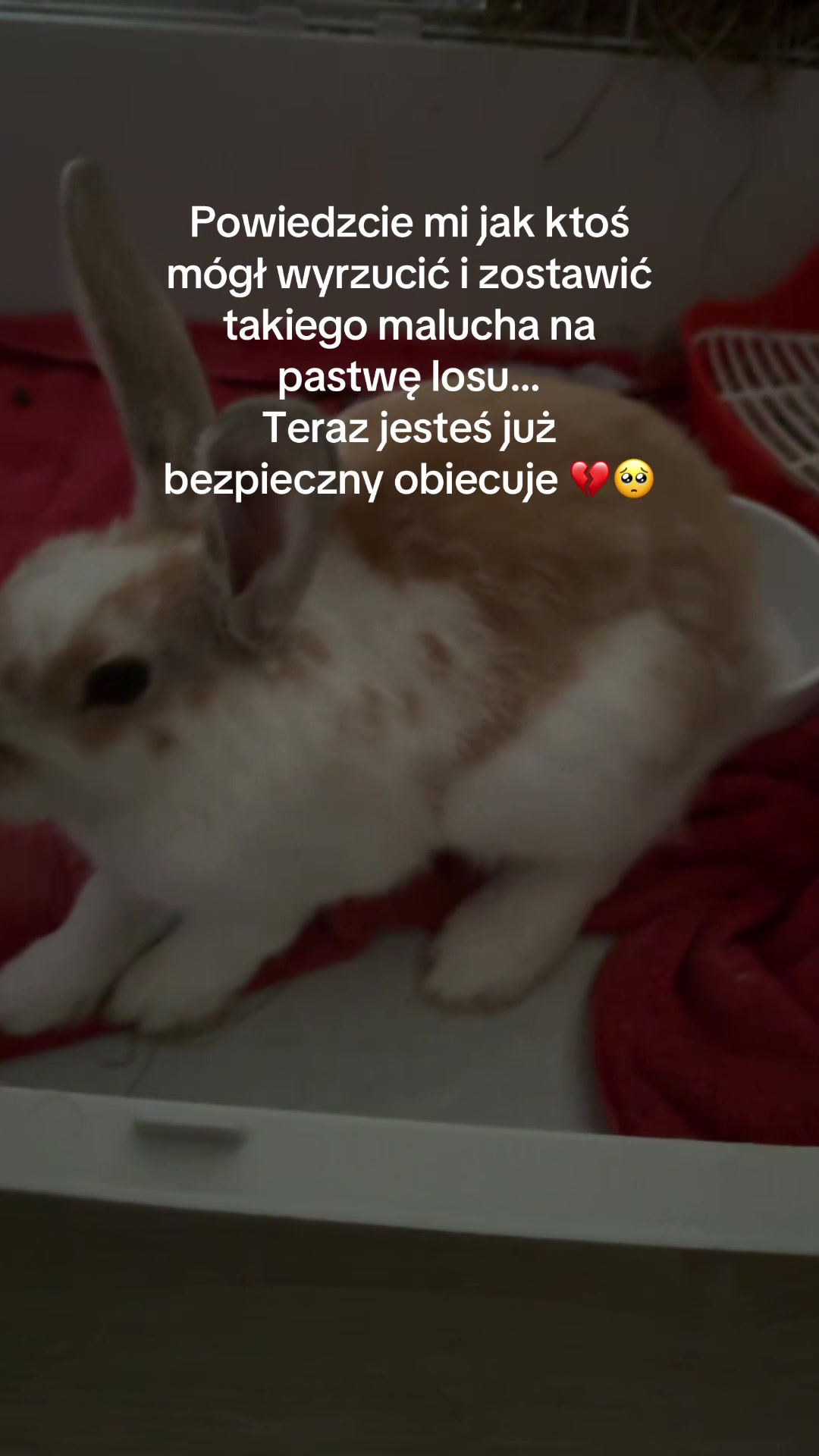 @Melania :)