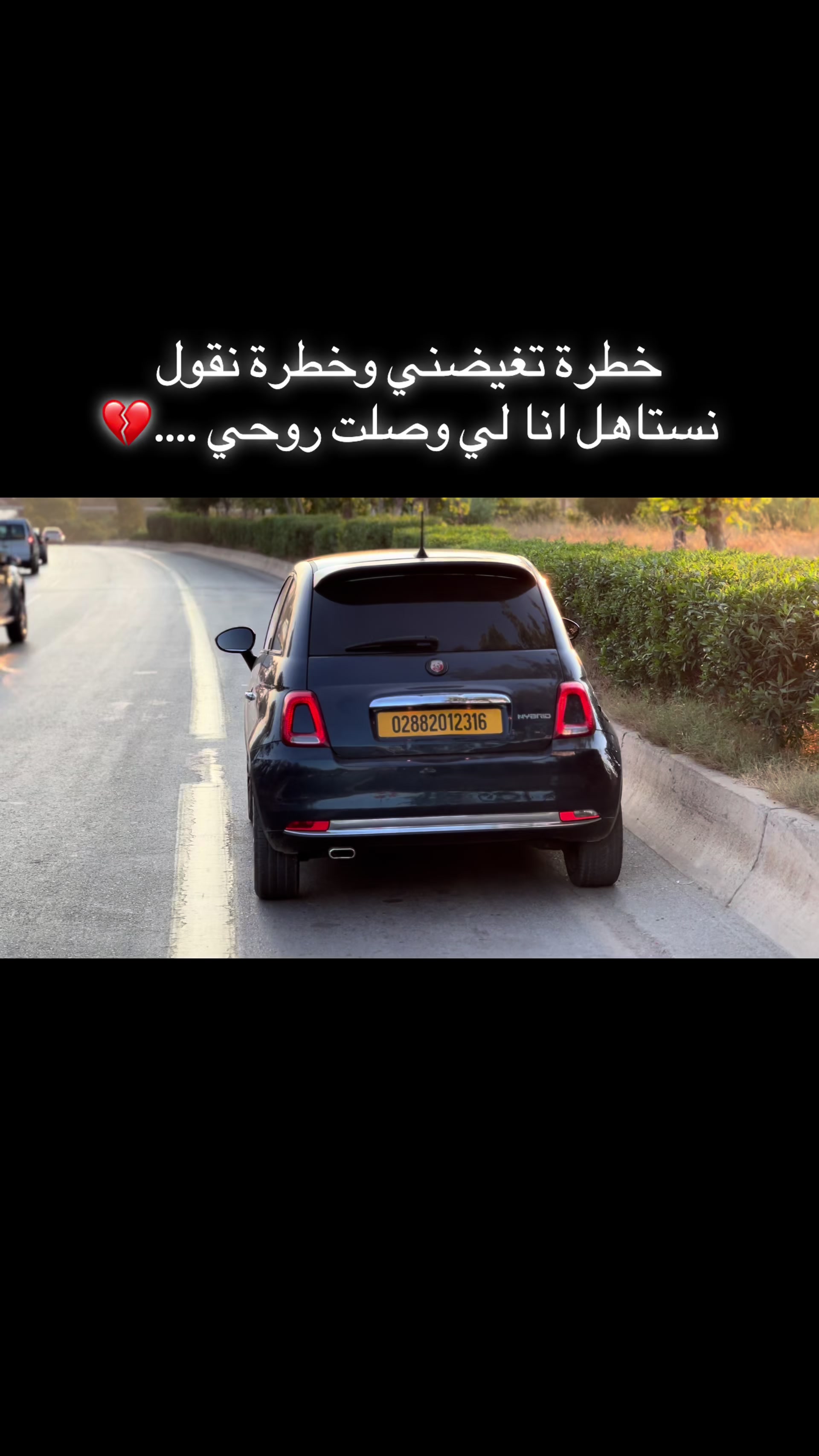 @nabil.diamond 16