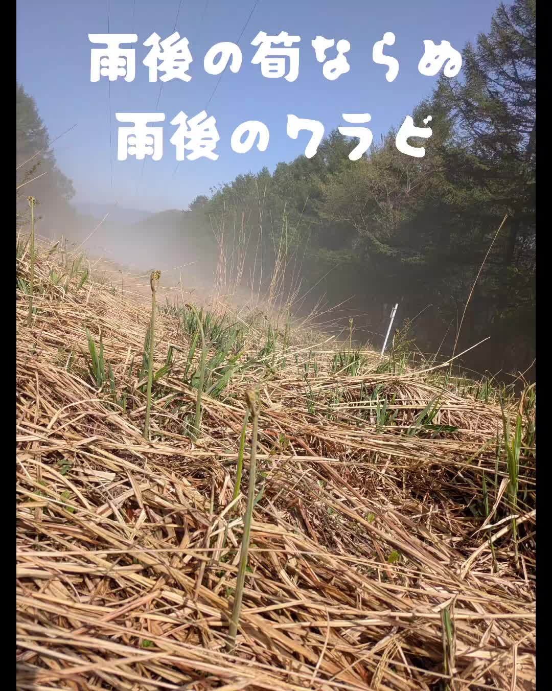 @若旦那
