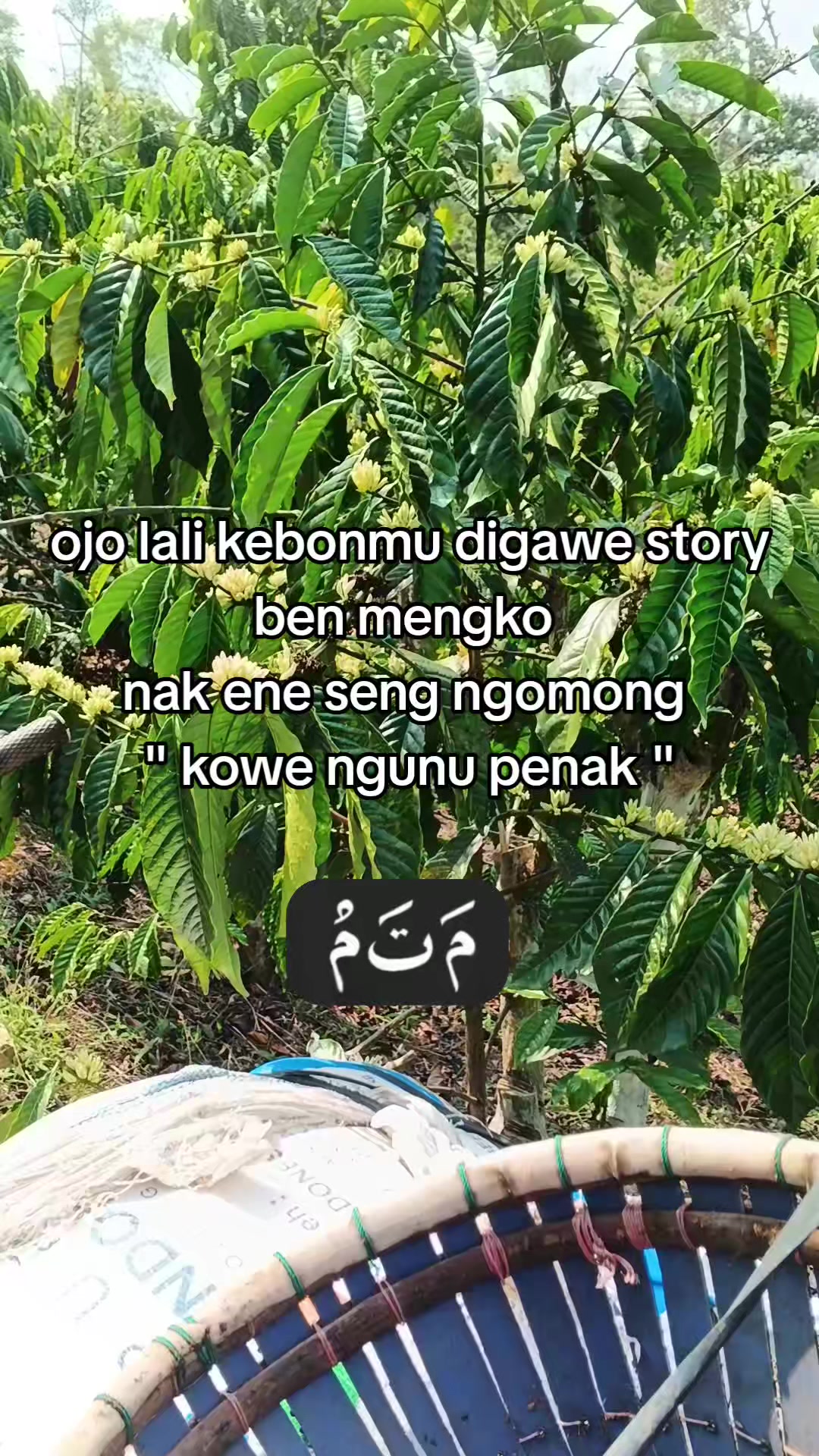 @Aguss_nawa