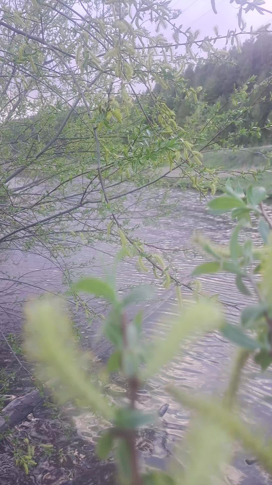 @Тетяна Хільчук