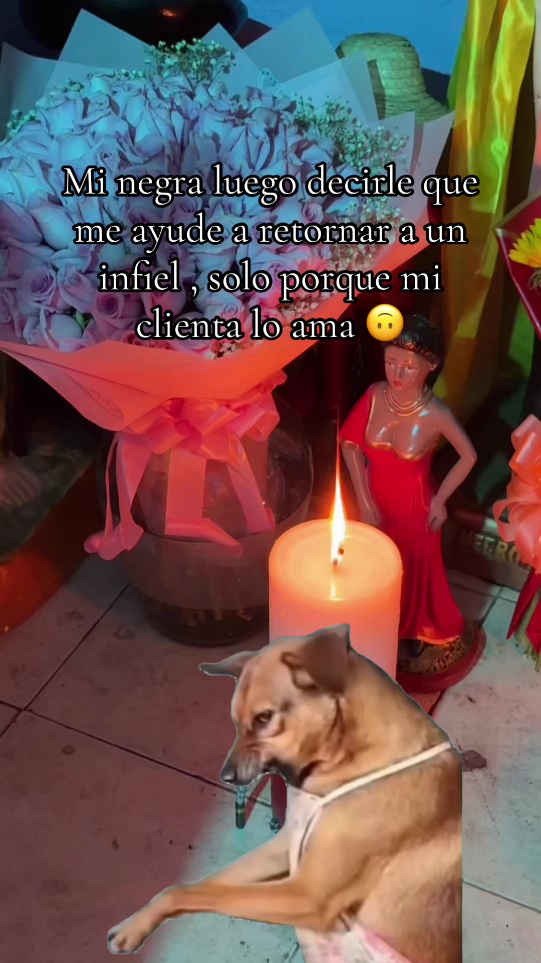 @sofialareinadeltarot💜👑