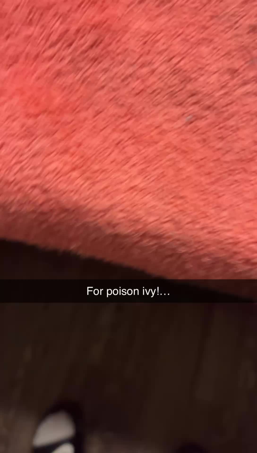 @YourHeavenlySisterMook