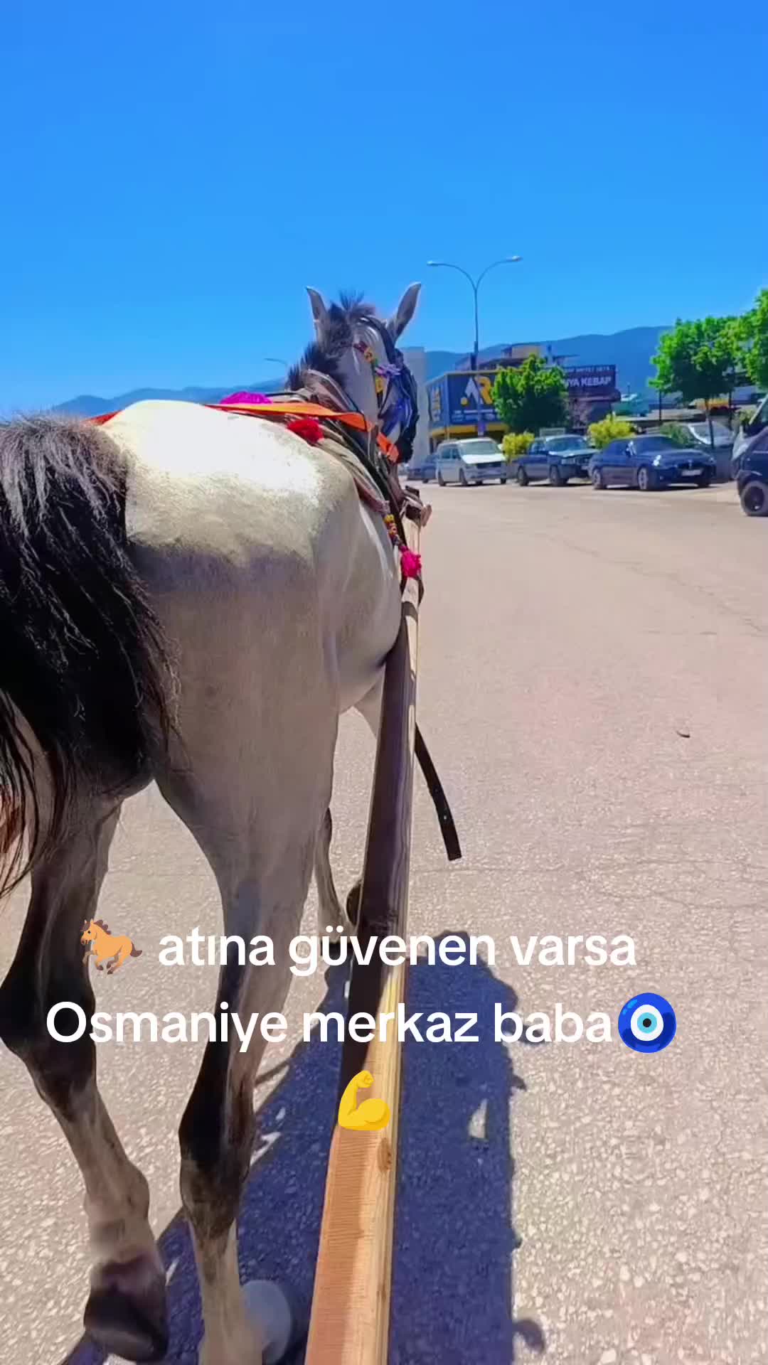 @serdal