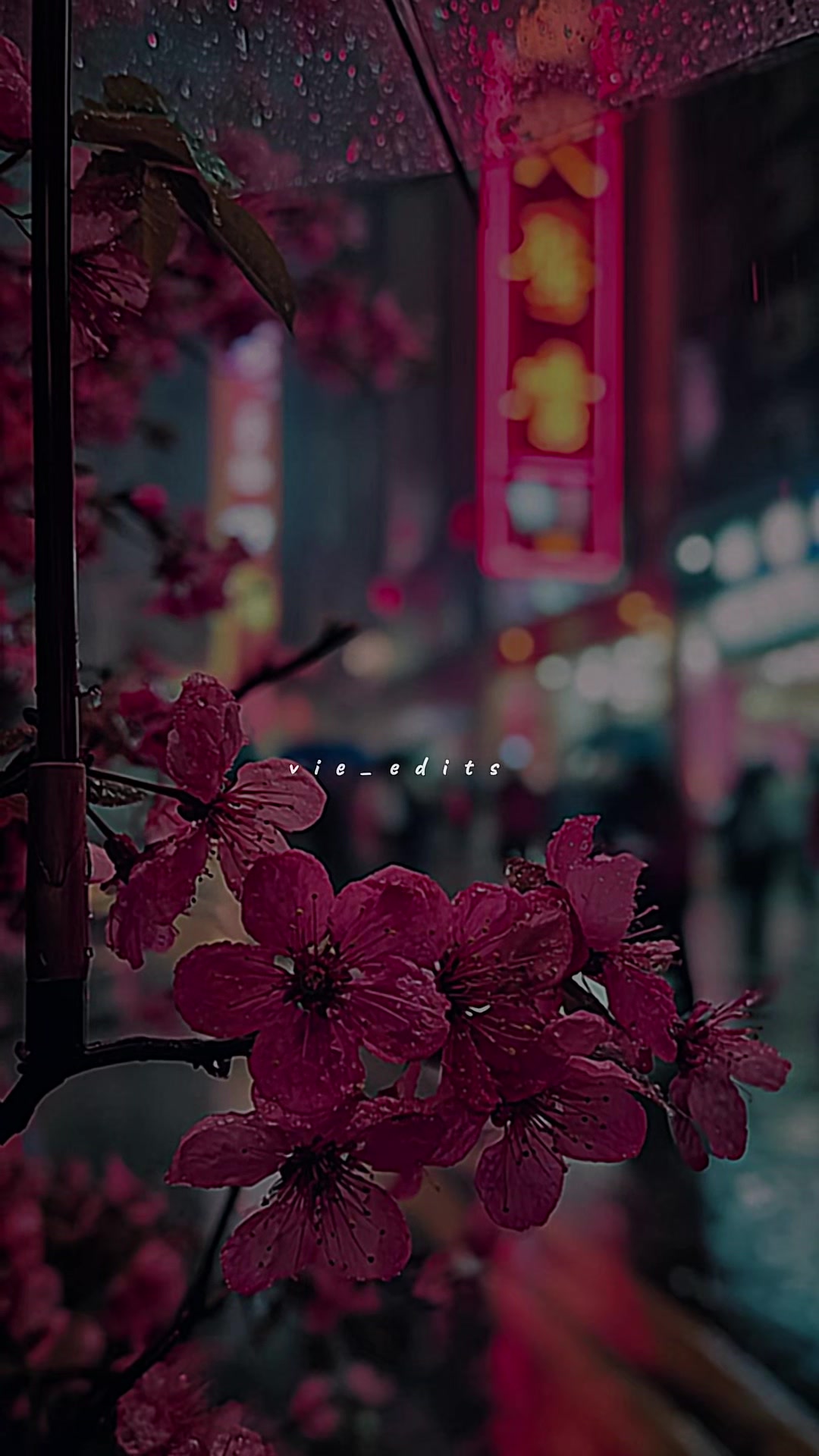 @๐
ฅ๐
๐
๐
๐
๐
๐
ฃ๐
ข