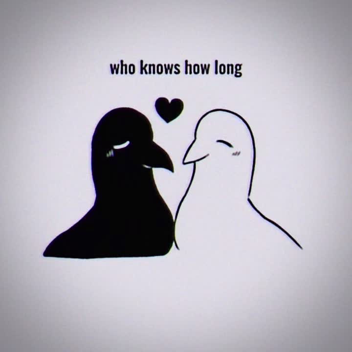 @lunanoon