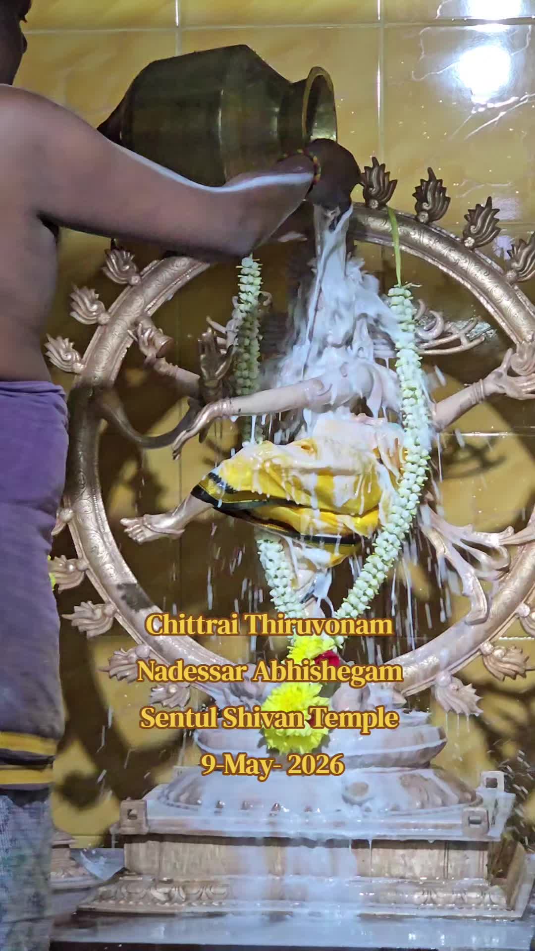 @tirumagaltextiles