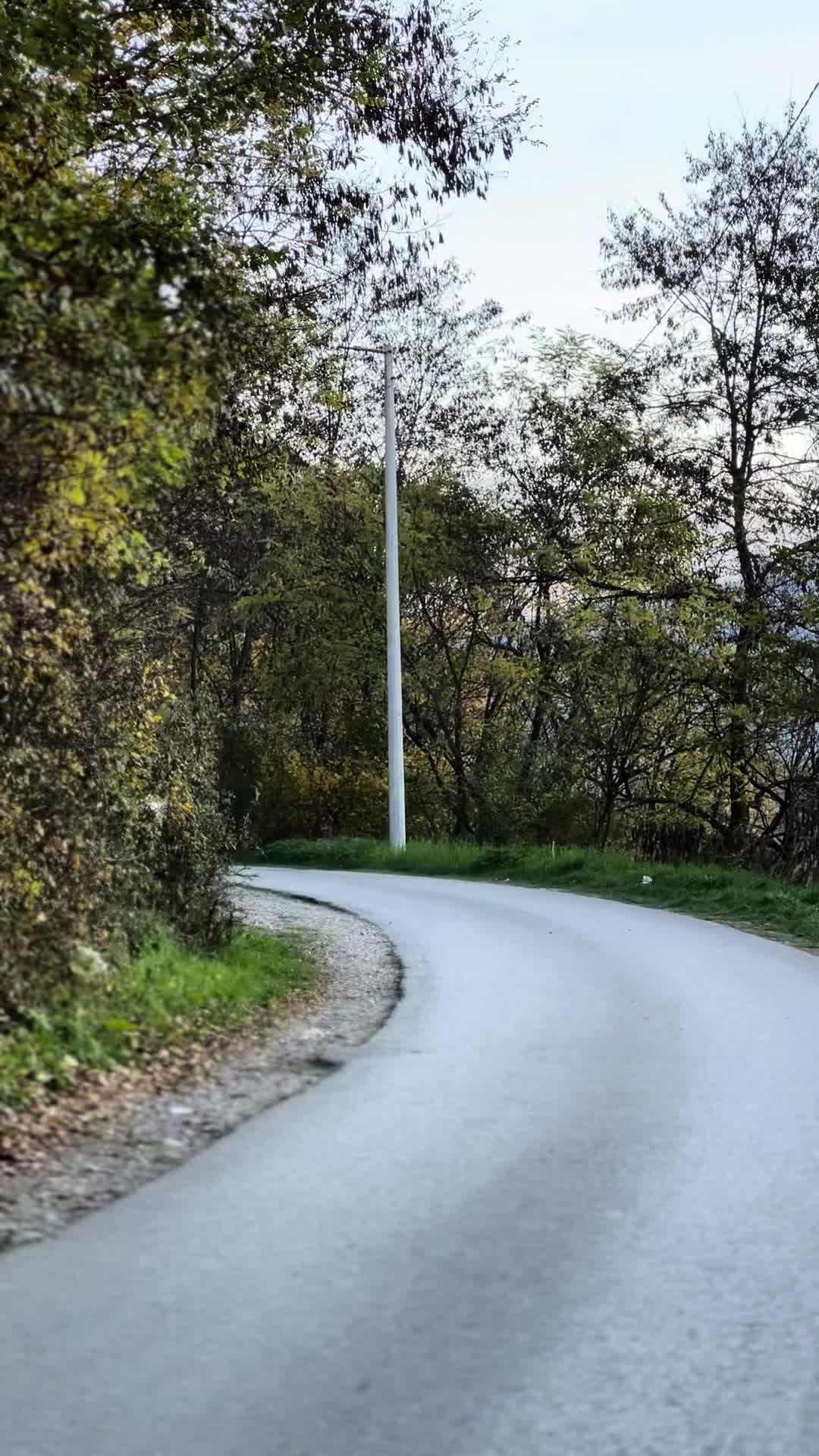 @ii93mm