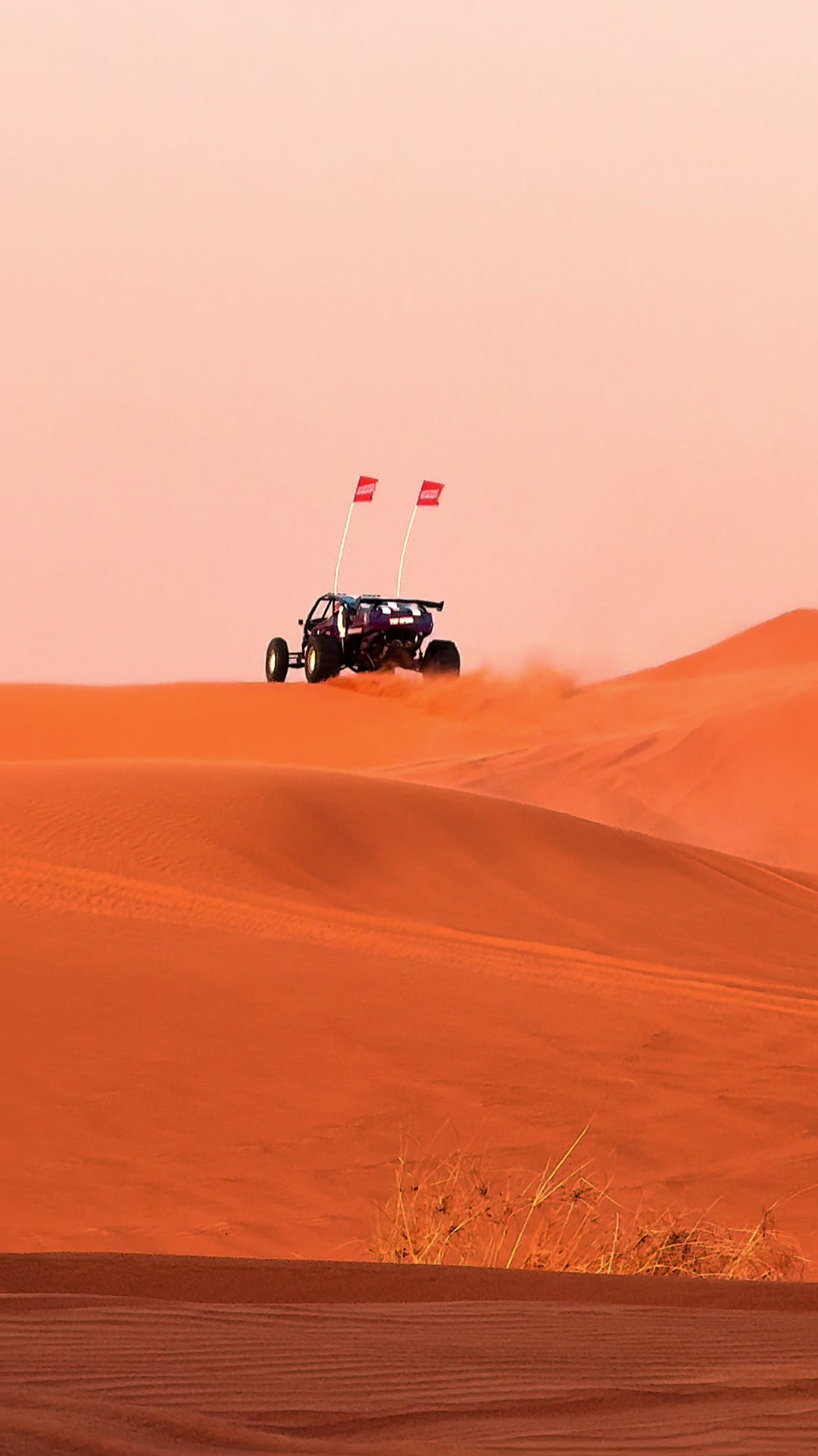 @dubaireddunessafari1