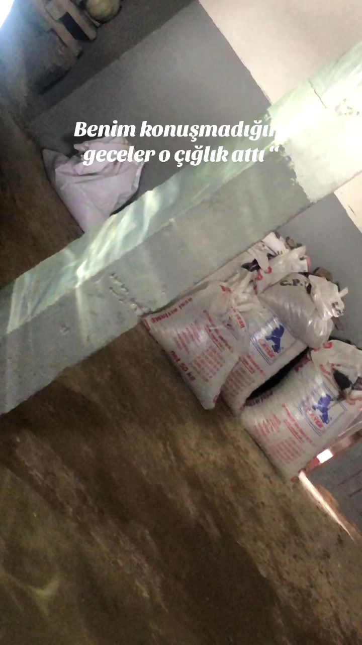 @MEHMET TURHAN✅