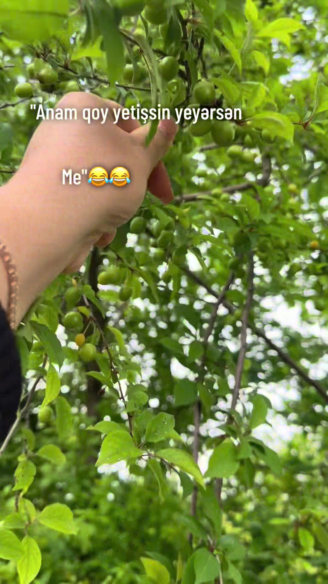 @♈️
