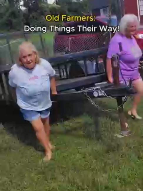 @digitl63🇨🇦