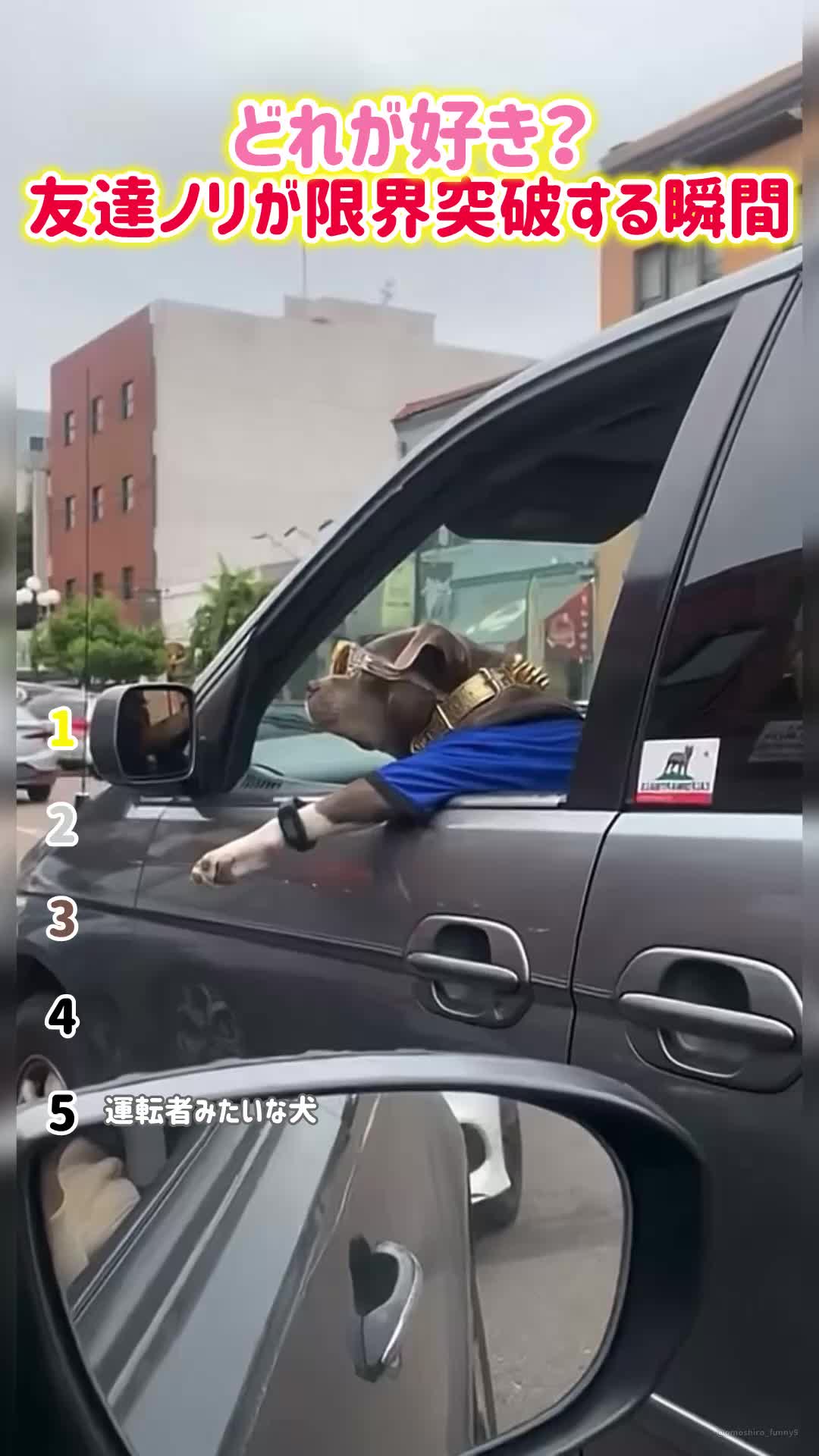 @おもしろ動画まとめ