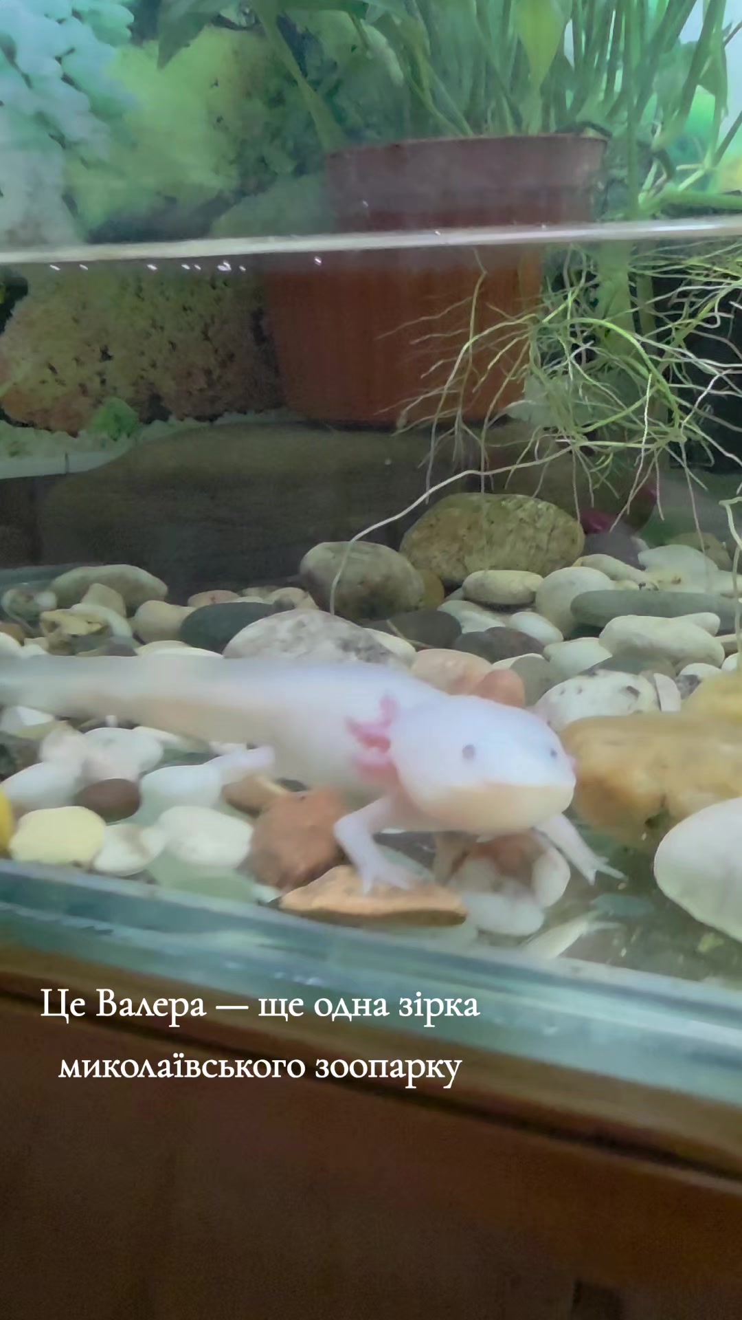 @Джекрасел з Херсону ❤️